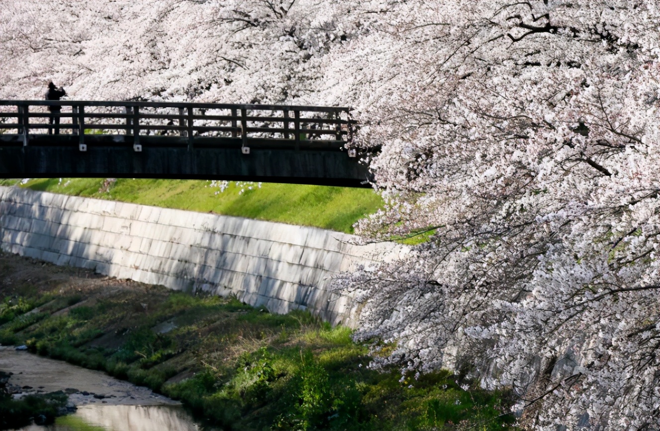 日本爱知县旅游攻略,玩转日本自由行