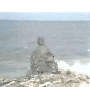 为什么一定要爆藻,为什么国人对鱼情有独钟