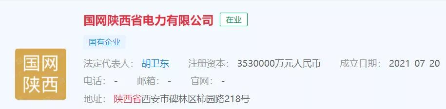 陕西新电力,陕西新组建机构