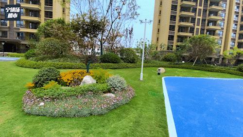 拼*刀刺**，镇江超级潜力板块砸出惊爆价，最高优惠43万