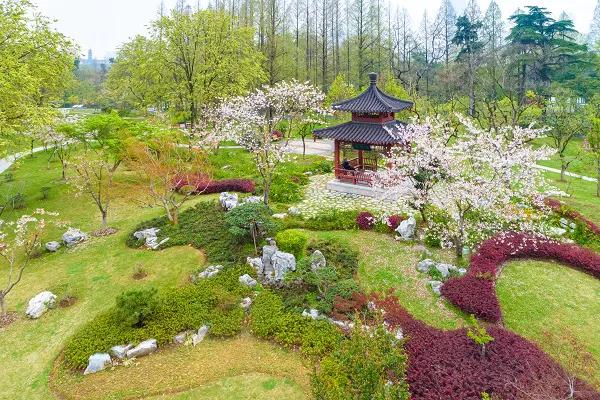 曾作为禁地，与外界隔绝二百六十多年的“玄武湖”，今日锣鼓喧天