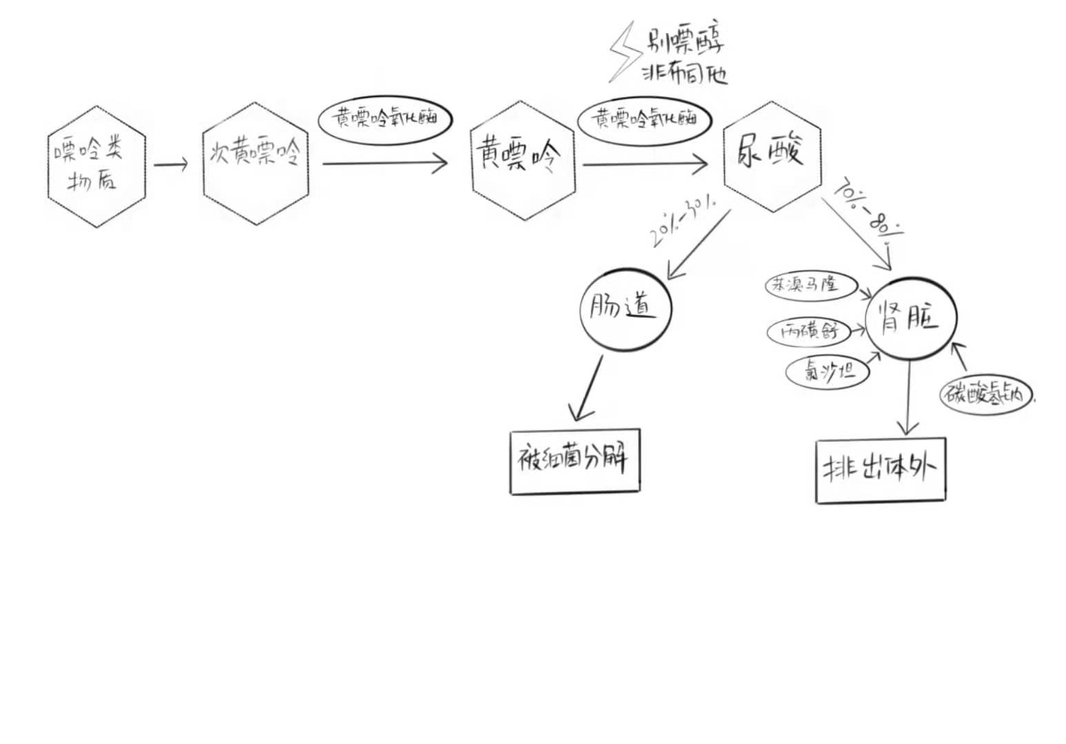 痛风防治新药非布司他到底好不好用？骨科医生为你梳理注意事项