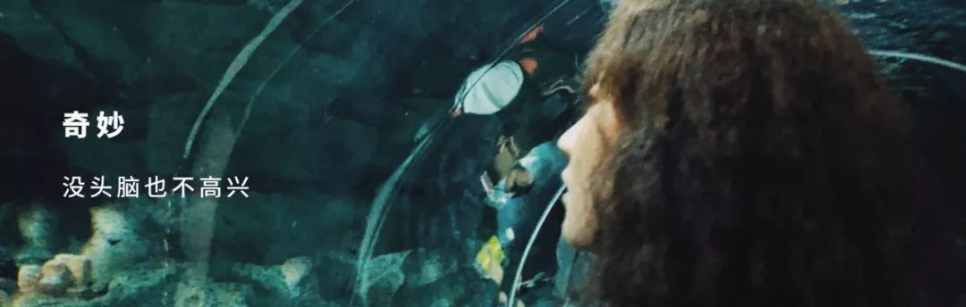 谈恋爱真的会使人发胖吗,谈恋爱使人发胖怎么办