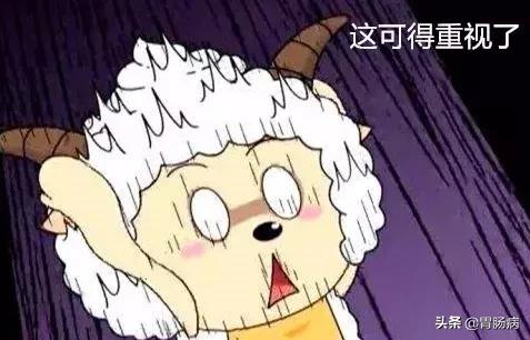 肚子痛到底是哪里痛,肚子痛应该是哪痛一张图告诉你