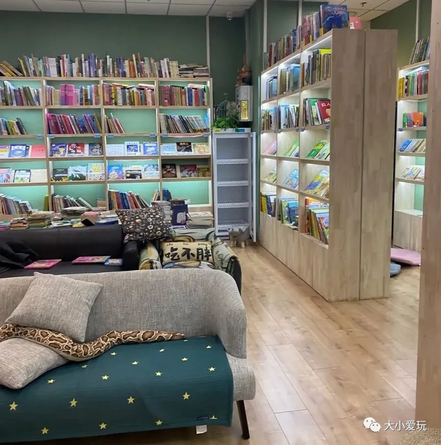 北京昌平适合亲子阅读的绘本馆,北京适合遛娃景点推荐