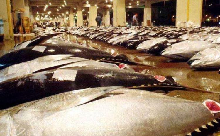 在日本没人买,转身“加价”卖给中国游客,当地人:赚钱太容易