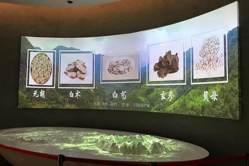 娴欐睙涔嬪績鏃呮父鏅偣,閫傚悎鍐ぉ鍘荤殑姹熷崡娓╂硥灏忛晣