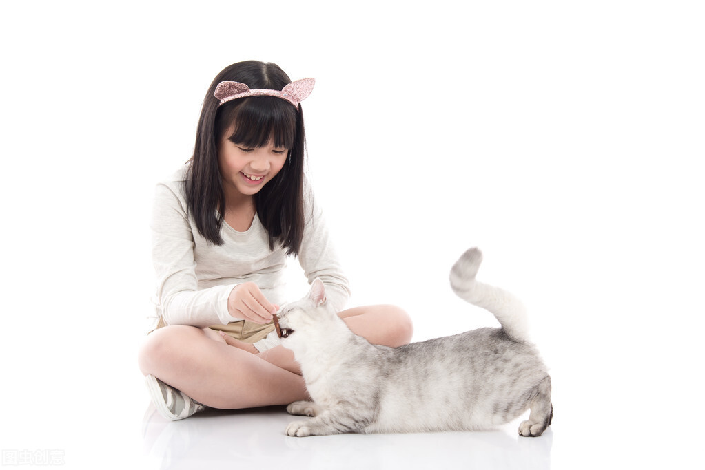 养一只蓝白猫一个月多少钱,养一只猫一年大概要多少开销