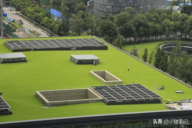 屋顶绿化人造草坪意义,屋顶人工草坪安装
