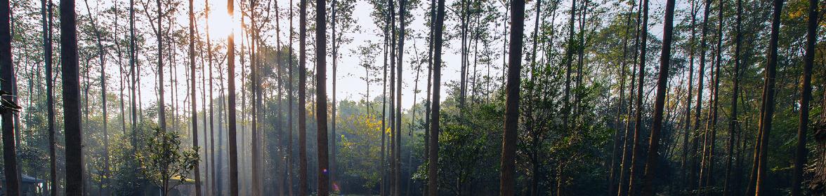 成都向西看最高的山,成都最高的山峰