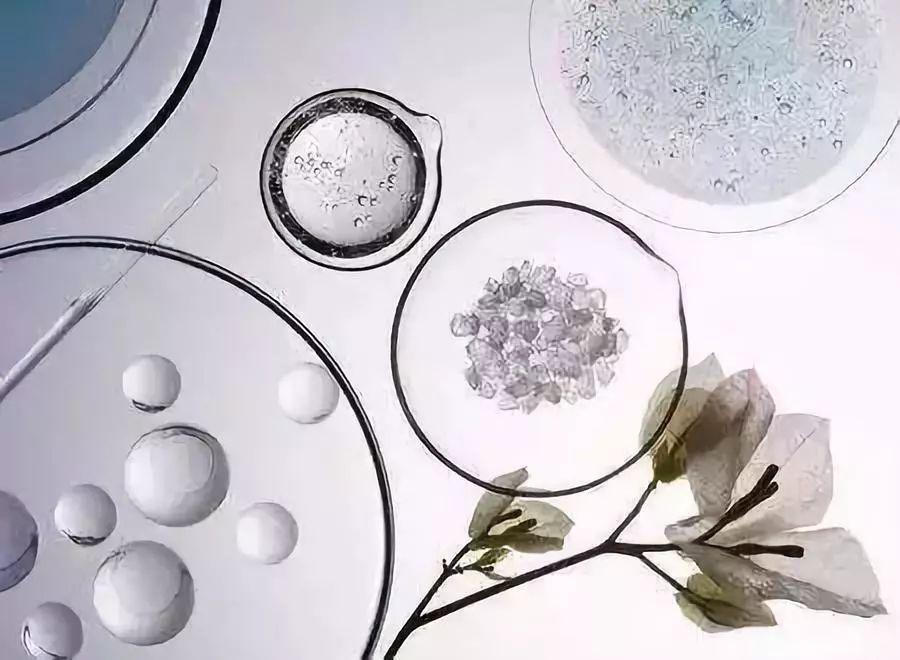 theordinary烟酰胺精华怎么样,ordinary烟酰胺精华真假