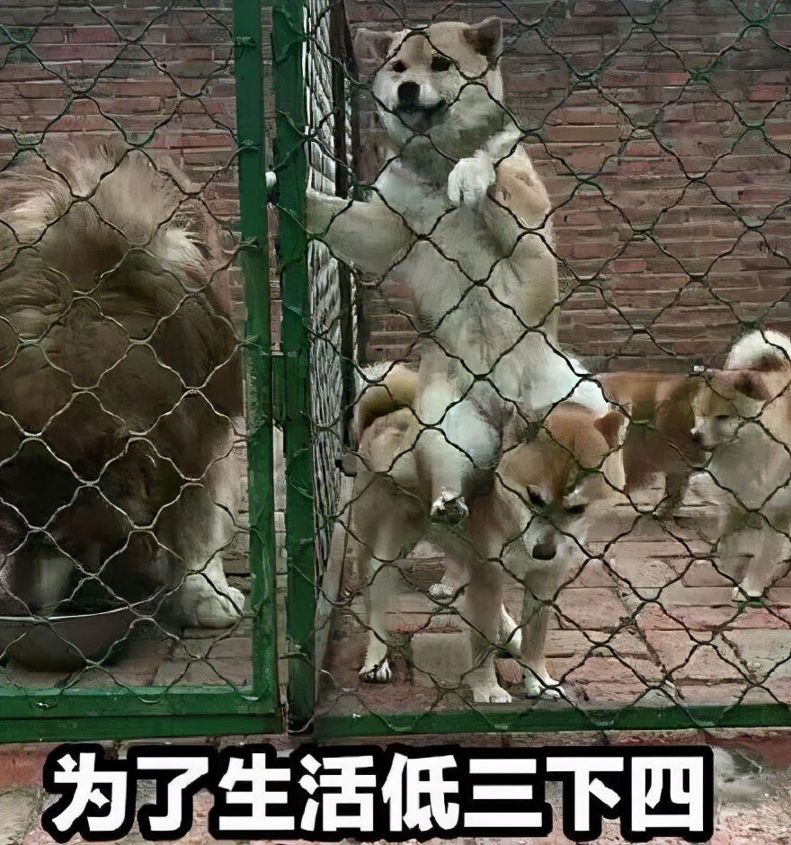 东哥的鬼片,东哥的电脑