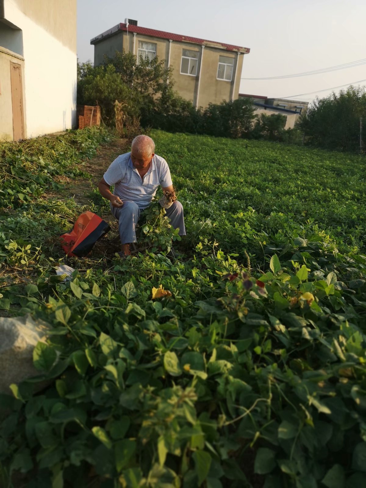 摩托自驾景点附近,蚌埠古迹半日游