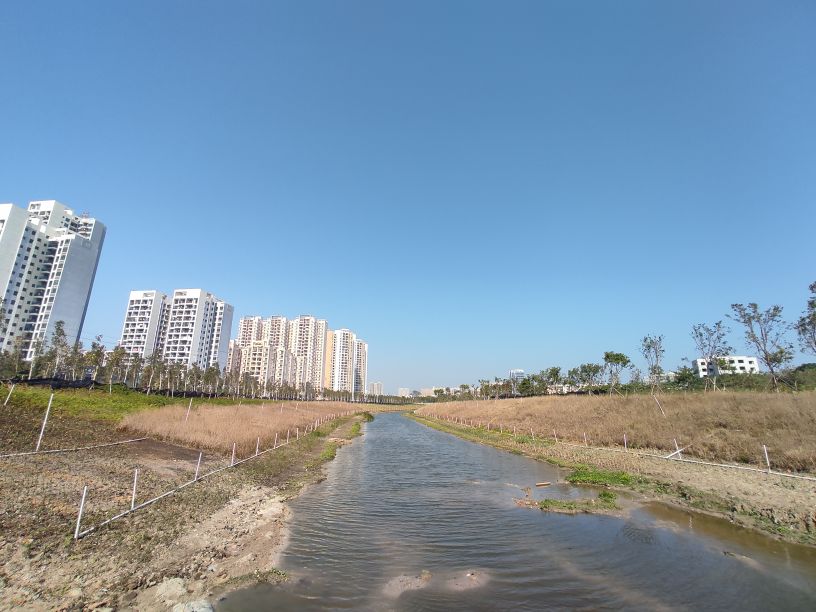 北海和阳江哪个冬天冷,深圳和北海哪个城市冬天更暖和