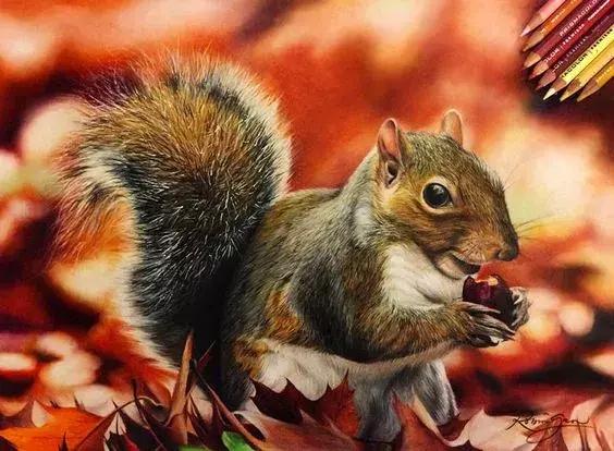 画得比实物好看,彩铅怎么样能画好看