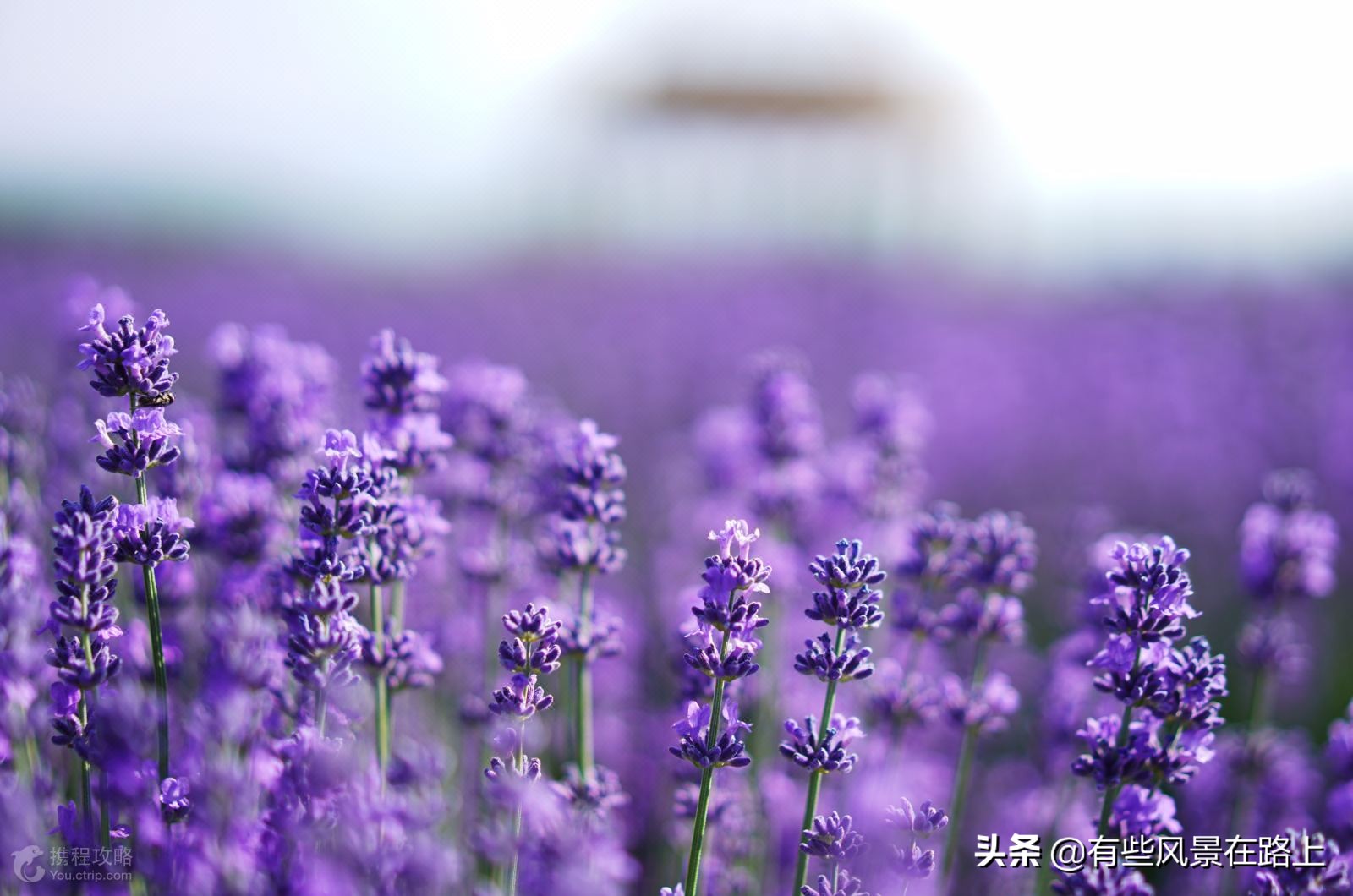 伊犁哈萨克自治州地图,伊犁哈萨克自治州属于哪个省