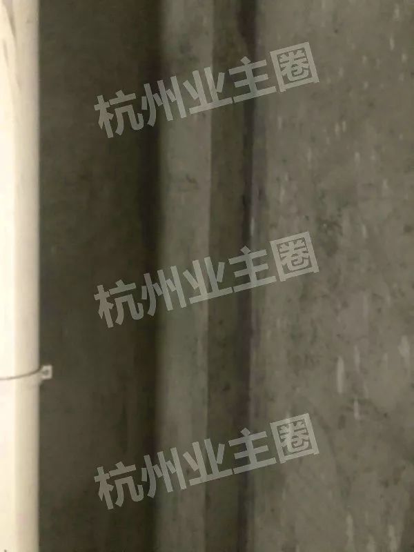 绿都什么意思,绿都包括哪些绿