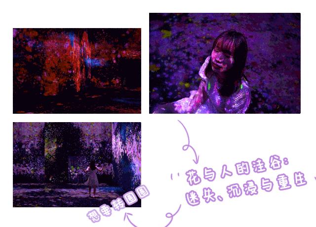 一起去澳门吧，便宜安全人又少