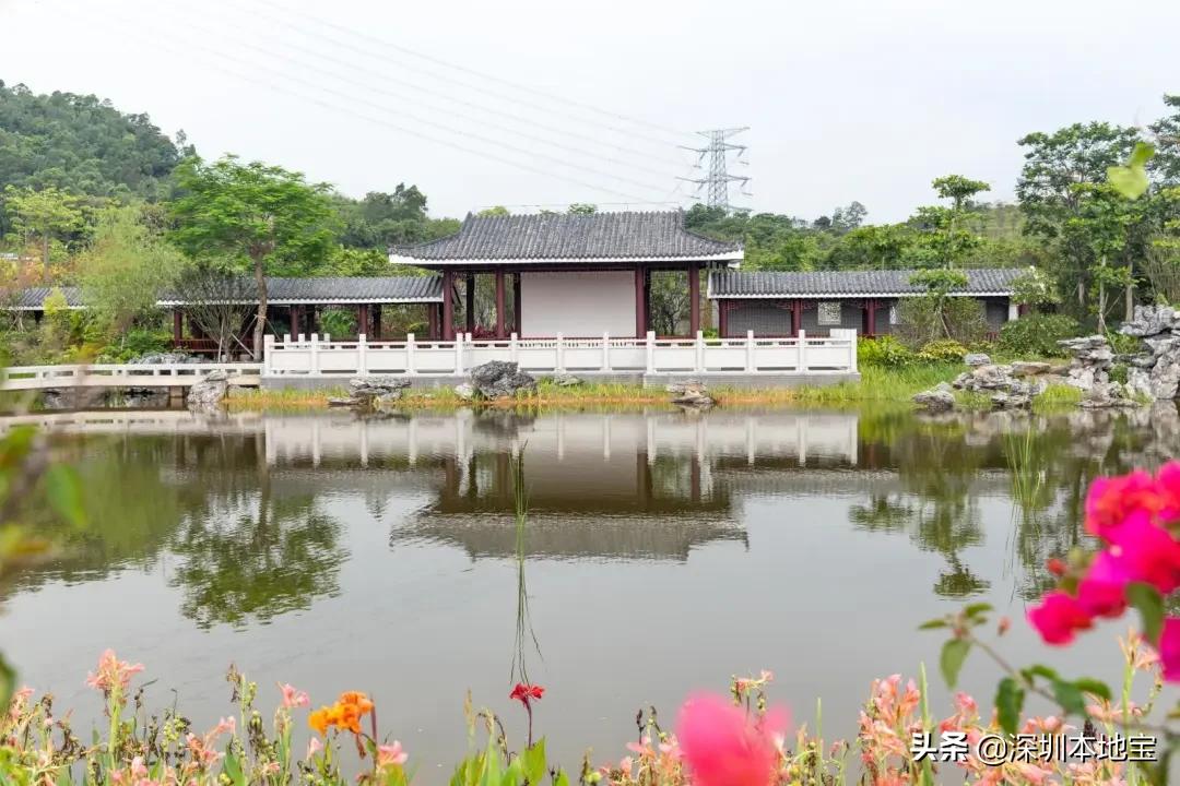 深圳免费的景点有哪些地方,深圳有哪些免费又好玩的地方景点