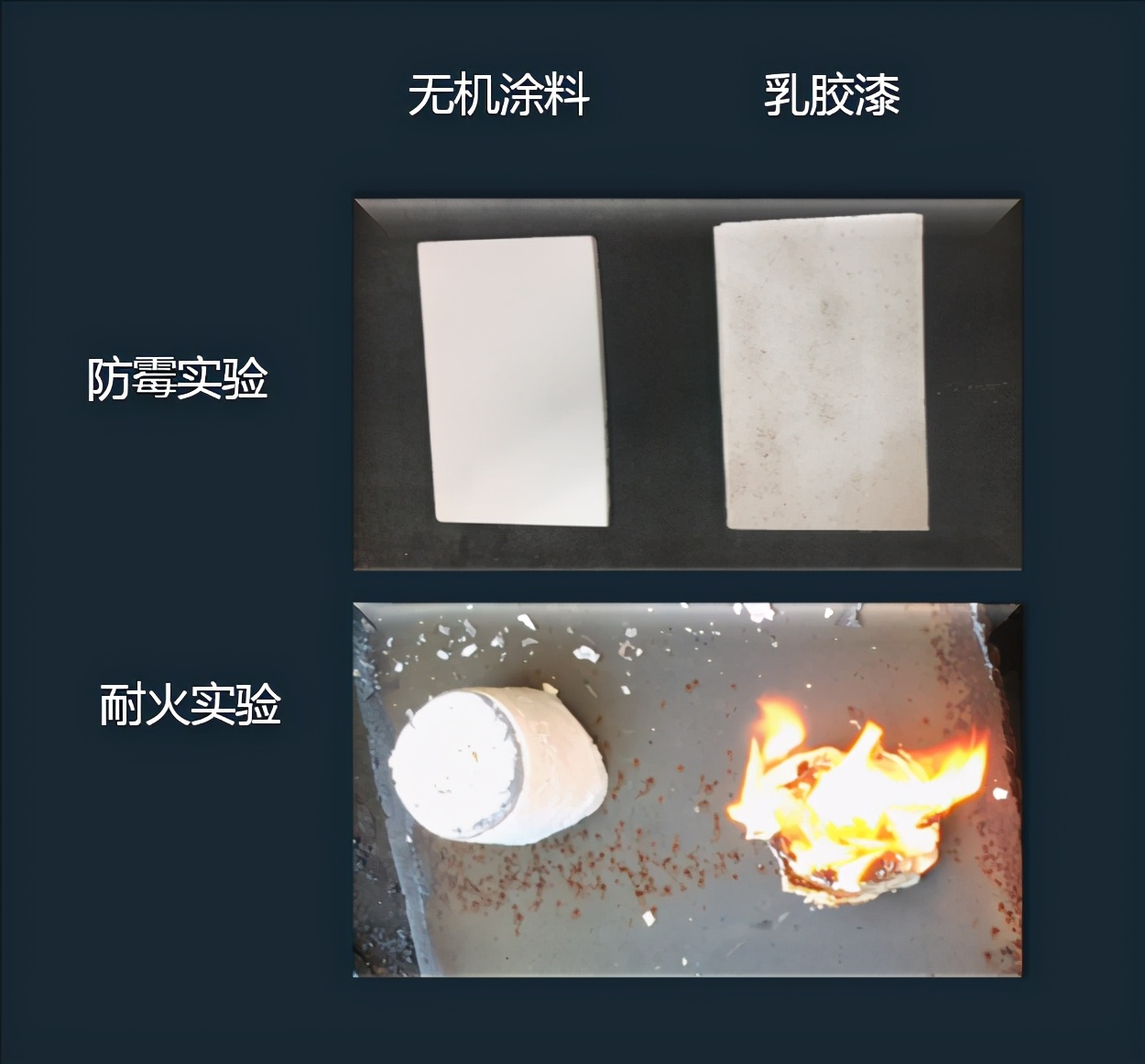 嘉宝莉大建设,嘉宝莉工程漆年会