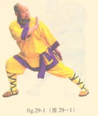 少林护心意门拳全套演示,少林拳长护心意门拳介绍