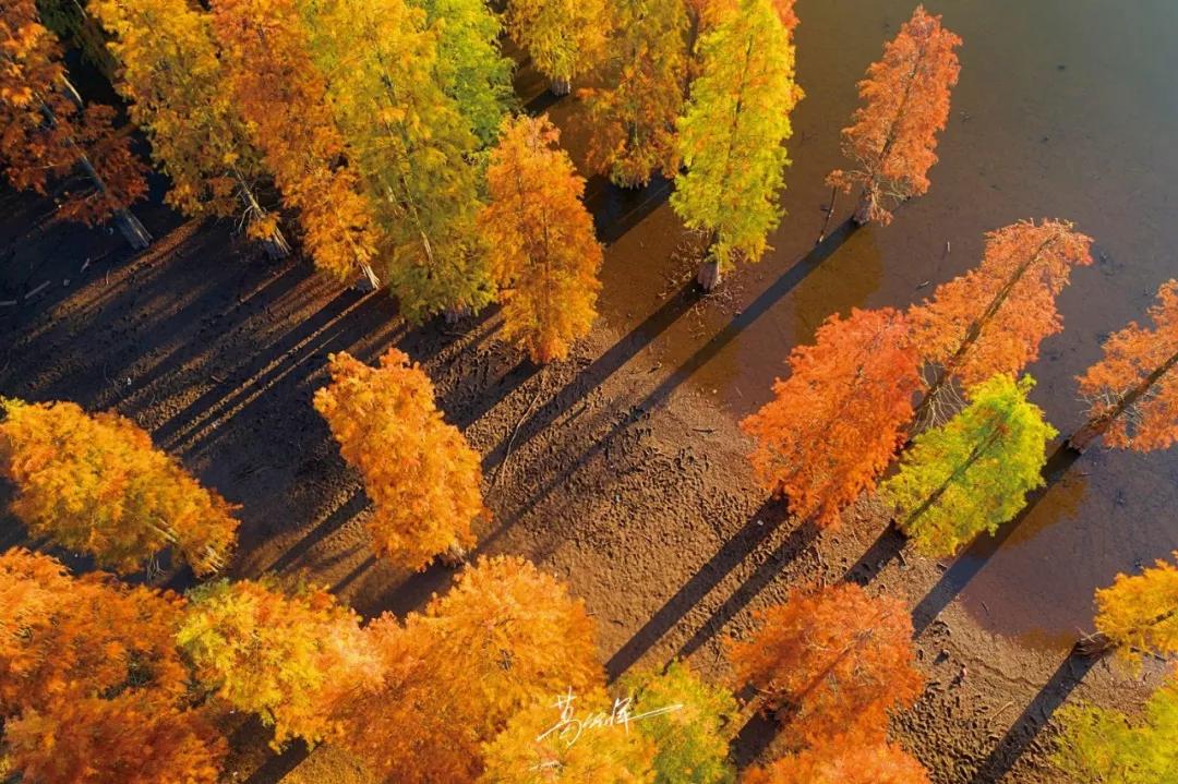 南京是属于哪个省的,南京是现在的哪个城市