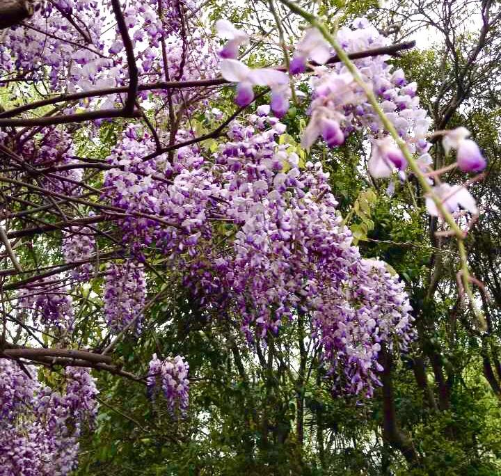 “天下三分明月夜，二分无赖是扬州”，扬州是一座怎么样的城市？