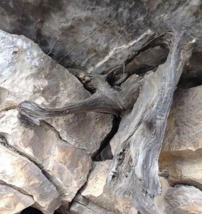 文玩界的秘密介绍,文玩秘密100个