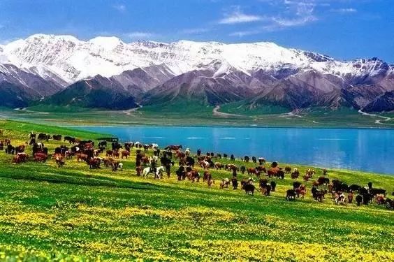 下半年旅行最佳时间表,2023最佳旅游时间表