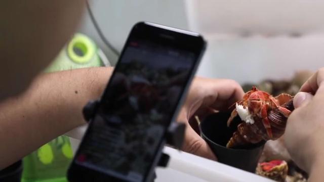 后疫情时代，海水行业的拐点终于来了！