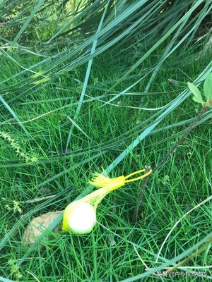 夜钓怎样防蛇进身边,夜钓防蛇最简单方法