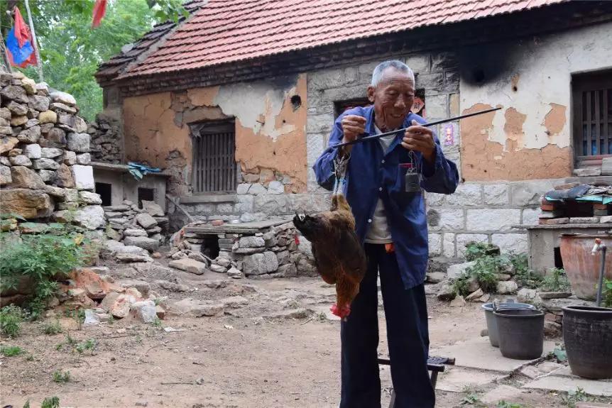 淘宝上土鸡买一送一,淘宝土鸡复工最新通告