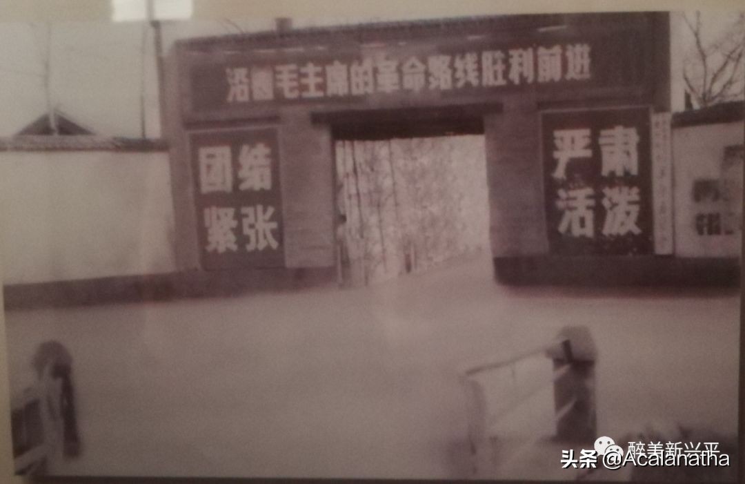 一张69年前兴平南郊中学照片勾起的回忆