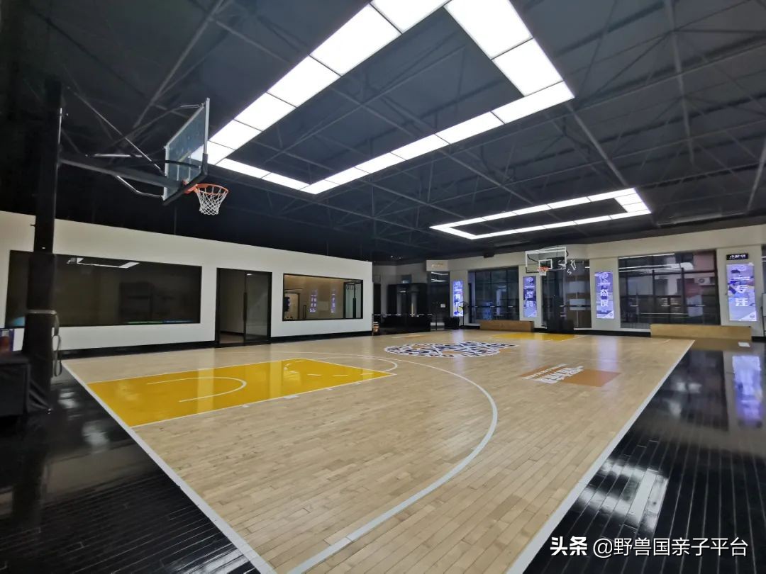 东莞儿童篮球培训机构哪个好,东莞儿童健身球哪家好