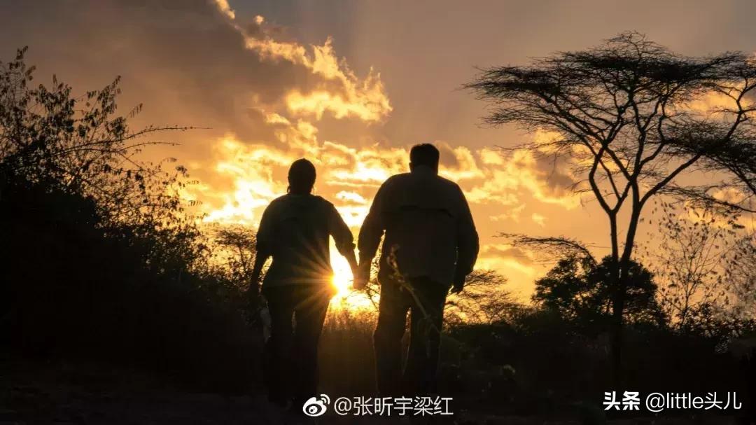 从亿万富翁到阶下囚全集,从千万富翁到被悬赏的经历