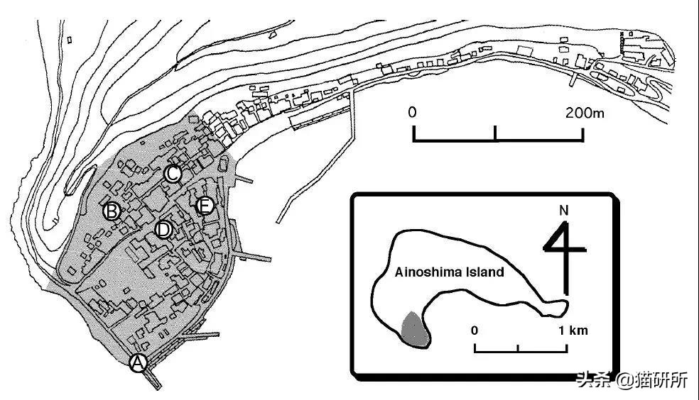 猫砂的100个常识,猫砂成分能被什么反应掉