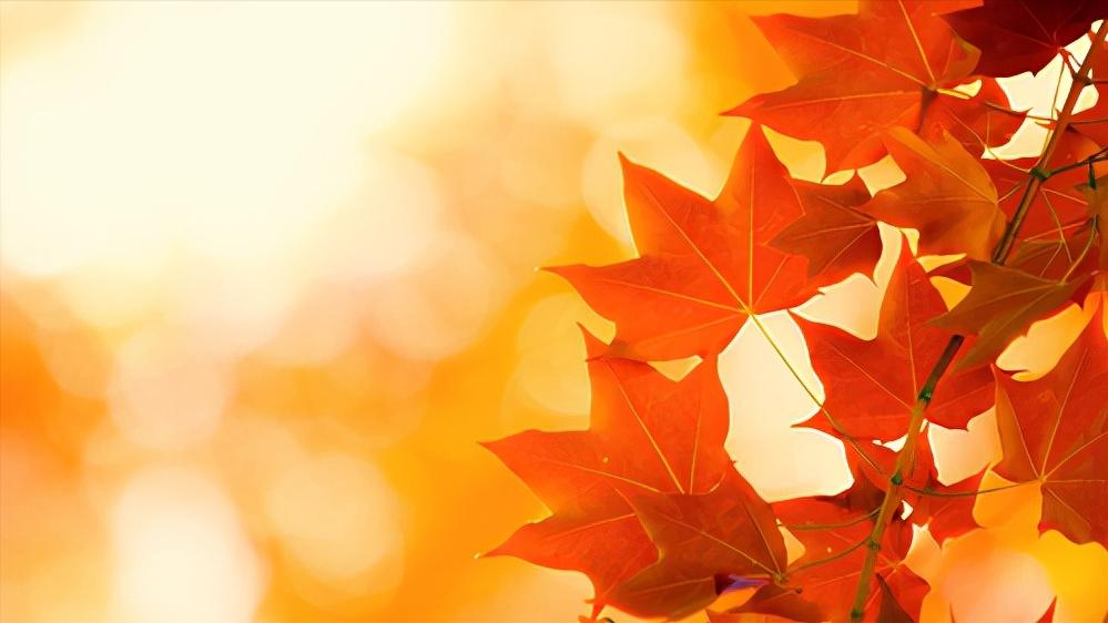 人最好的状态无非是止语又止心,止语止心止行什么意思