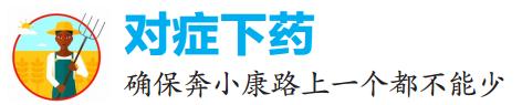 脱贫攻坚及乡村振兴工作,决战决胜脱贫攻坚就业扶贫再发力