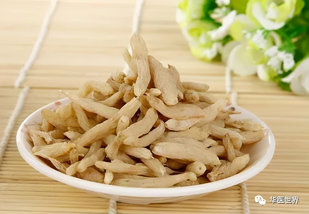 秦伯未中医学习资料,秦伯未医术