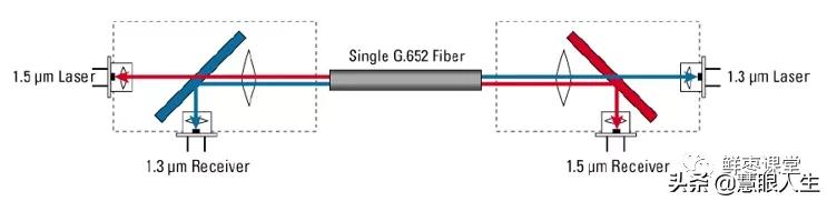 单模多模光纤外表区别,单模模块与多模模块怎么看