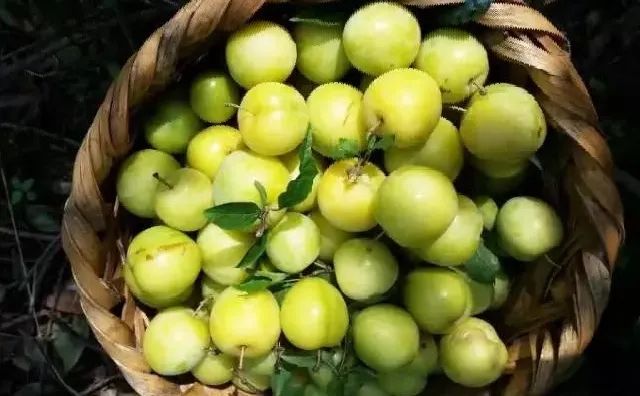 苏州西山十大知名农家乐有哪些,带你走一走苏州的太湖边农家乐