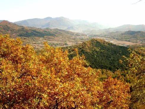 吉林省风景好的公路,吉林省第一条高速公路是哪条