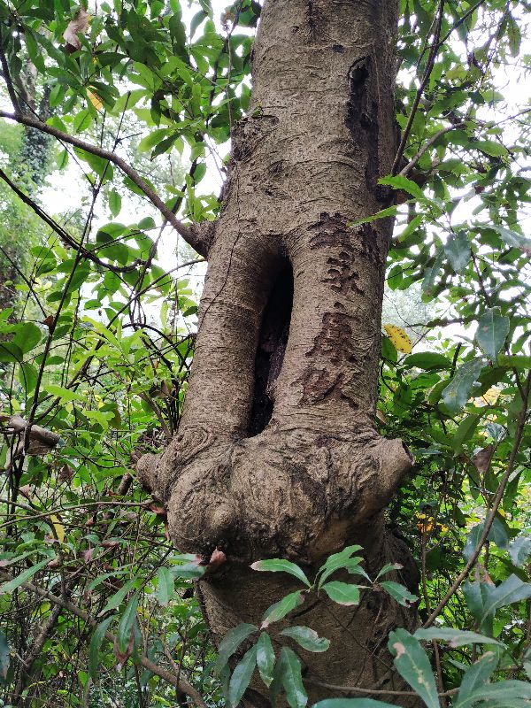 杭州市周末自驾游去哪里好玩,杭州出发周末旅游攻略