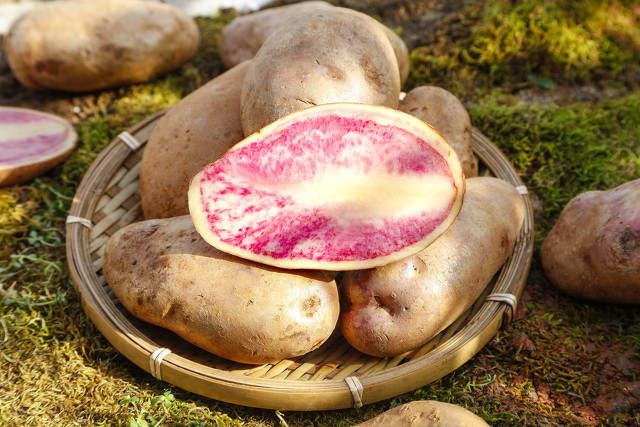 哈尔滨社区团购大众产品有哪些,哈尔滨社区团购真实状况