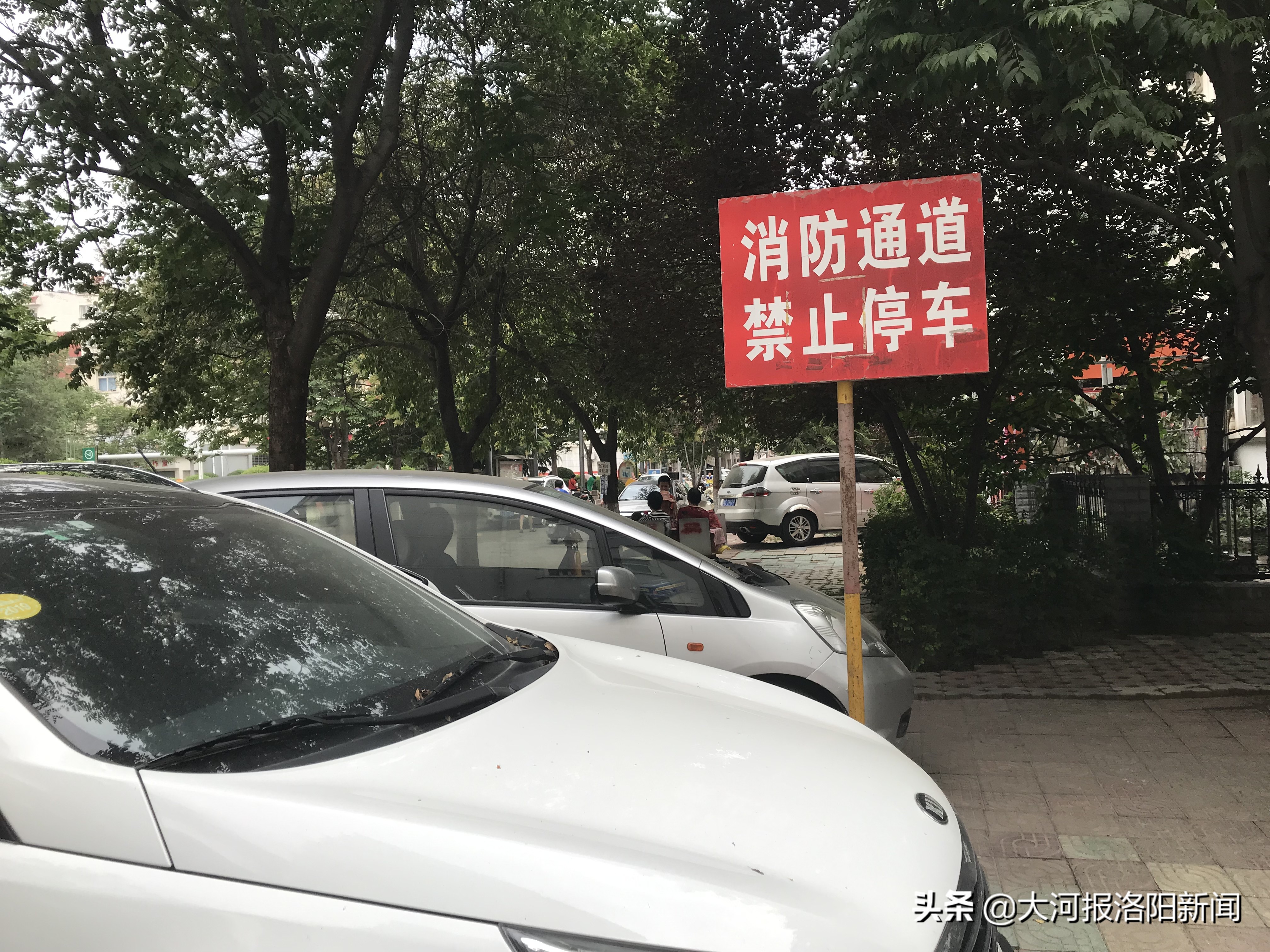 河南洛阳：一小区出现奇葩规定，单日单号车进、双日双号车进