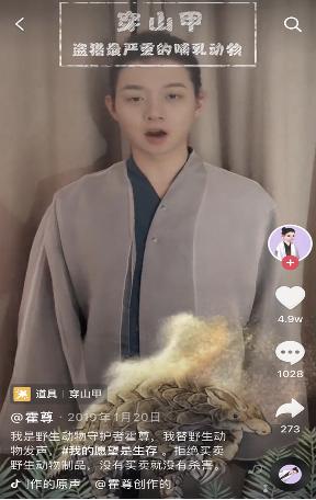 抖音加入打击网络野生动植物非法贸易全球互联网企业联盟