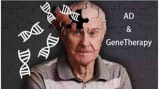 初次失忆,请多关照!