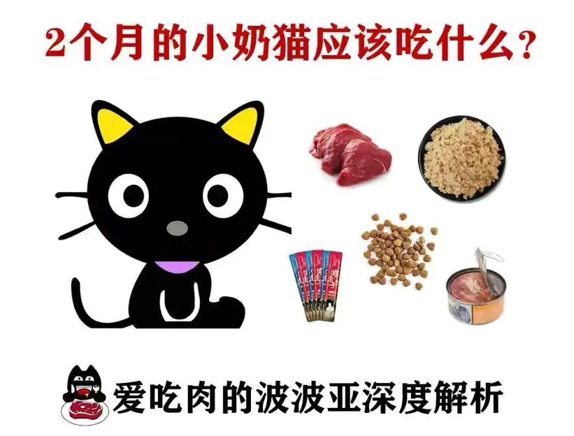 一个月的小猫可以吃羊奶泡奶糕吗,两个月小奶猫吃什么零食