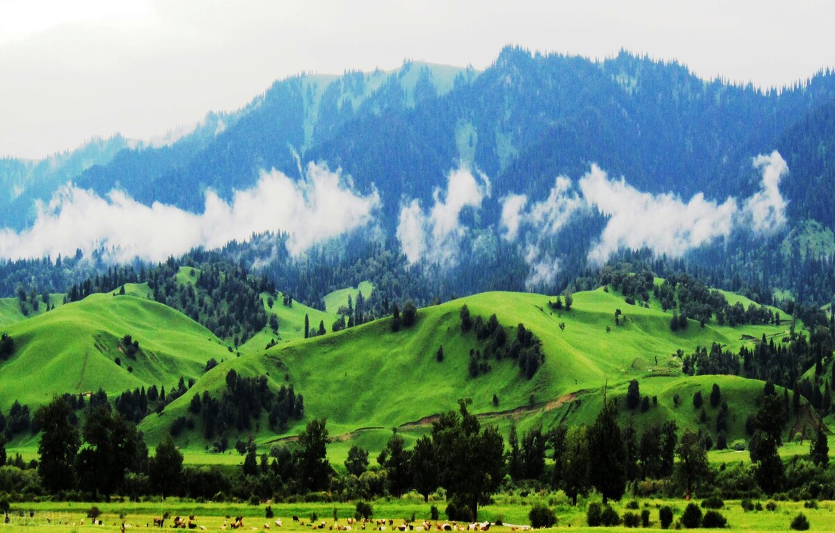 伊宁市伊宁县伊宁镇,伊宁是伊宁市还是伊宁县