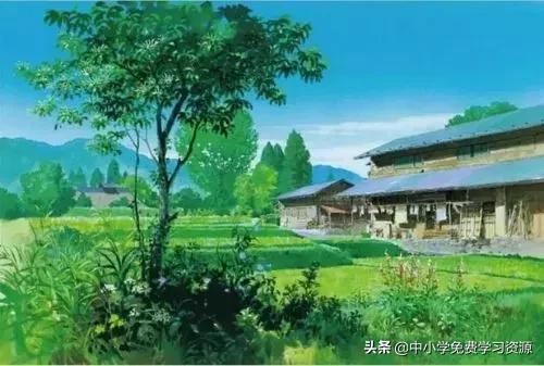 关于夏天的作文500字左右六年级,描写夏天的好词好句好段初中生